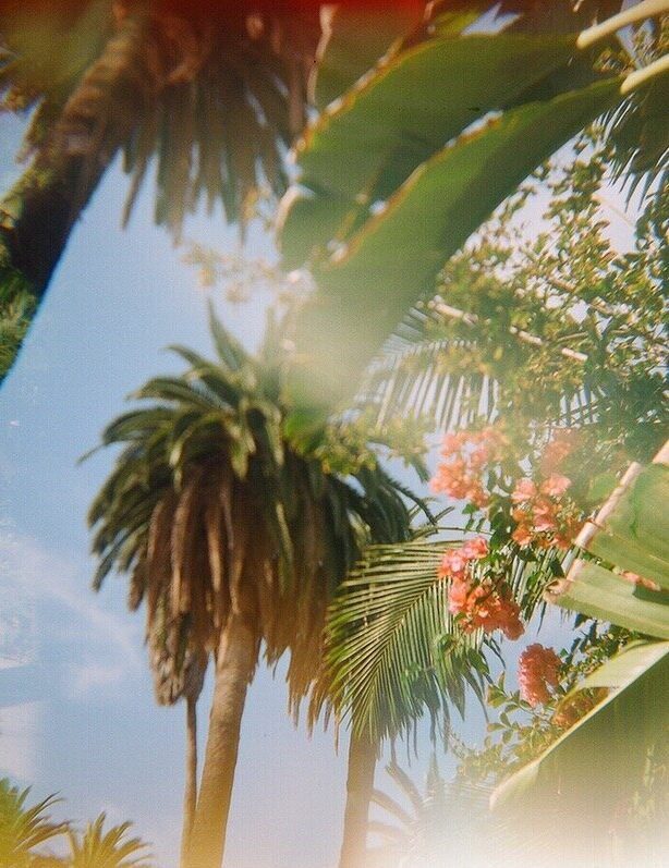 Kate Ferguson photography